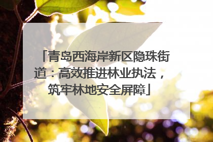 青岛西海岸新区隐珠街道：高效推进林业执法，筑牢林地安全屏障