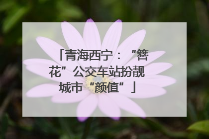 青海西宁：“簪花”公交车站扮靓城市“颜值”