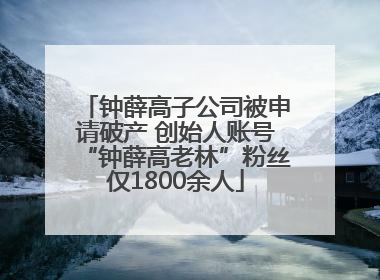 钟薛高子公司被申请破产 创始人账号“钟薛高老林”粉丝仅1800余人