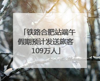 铁路合肥站端午假期预计发送旅客109万人
