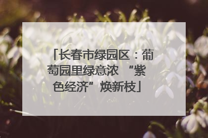 长春市绿园区：葡萄园里绿意浓 “紫色经济”焕新枝