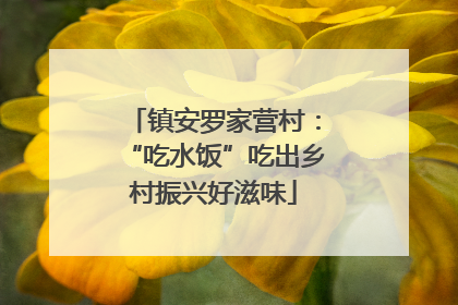 镇安罗家营村：“吃水饭”吃出乡村振兴好滋味