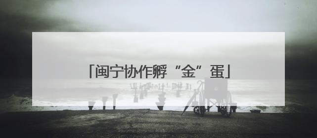 闽宁协作孵“金”蛋