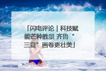 闪电评论｜科技赋能芒种胜景 齐鲁“三夏”画卷更壮美