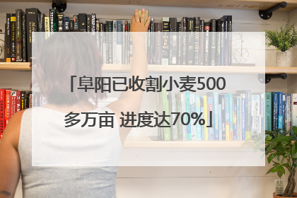 阜阳已收割小麦500多万亩 进度达70%