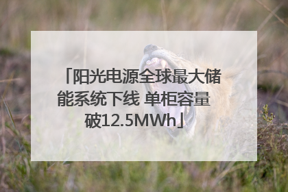 阳光电源全球最大储能系统下线 单柜容量破12.5MWh