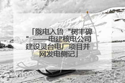 陇电入鲁“树丰碑”——电建核电公司建设灵台电厂项目并网发电侧记