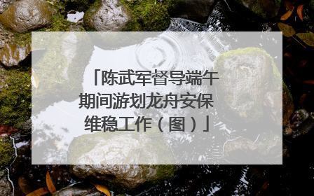 陈武军督导端午期间游划龙舟安保维稳工作（图）