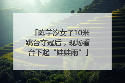 陈芋汐女子10米跳台夺冠后，现场看台下起“娃娃雨”