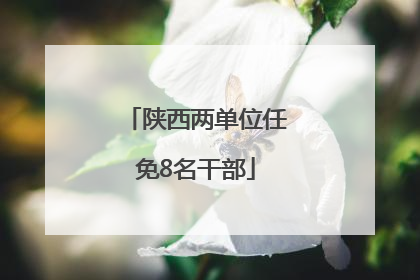 陕西两单位任免8名干部