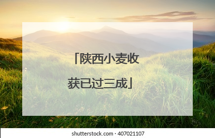 陕西小麦收获已过三成