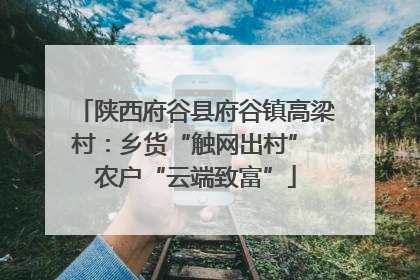 陕西府谷县府谷镇高梁村：乡货“触网出村” 农户“云端致富”