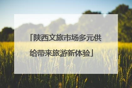 陕西文旅市场多元供给带来旅游新体验
