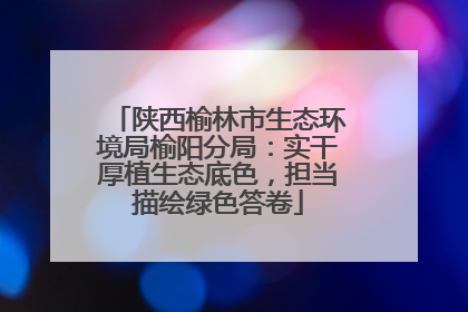 陕西榆林市生态环境局榆阳分局：实干厚植生态底色，担当描绘绿色答卷
