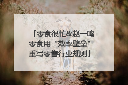 零食很忙&赵一鸣零食用“效率壁垒”重写零售行业规则