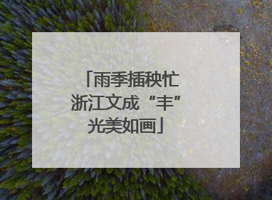 雨季插秧忙 浙江文成“丰”光美如画
