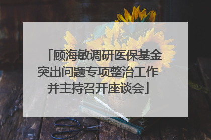 顾海敏调研医保基金突出问题专项整治工作并主持召开座谈会