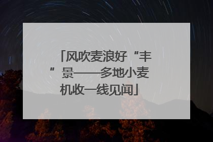风吹麦浪好“丰”景——多地小麦机收一线见闻