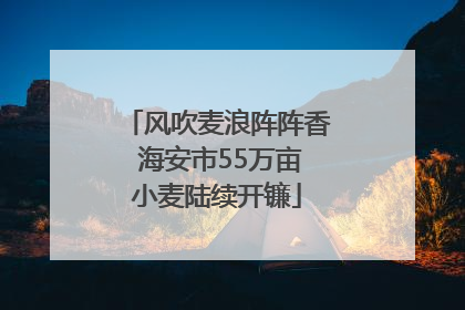 风吹麦浪阵阵香 海安市55万亩小麦陆续开镰