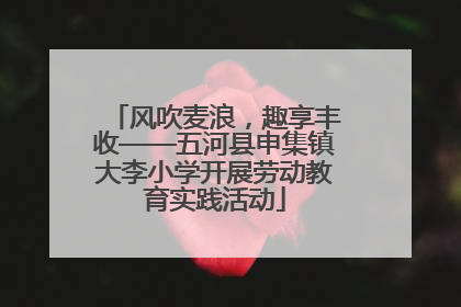 风吹麦浪，趣享丰收——五河县申集镇大李小学开展劳动教育实践活动