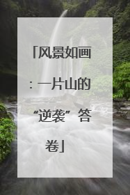 风景如画：一片山的“逆袭”答卷