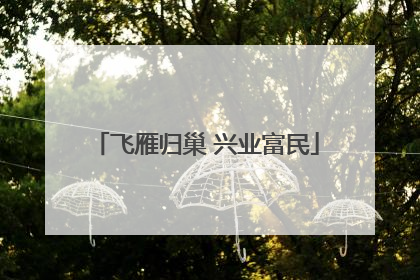 飞雁归巢 兴业富民