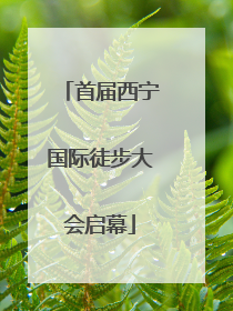 首届西宁国际徒步大会启幕