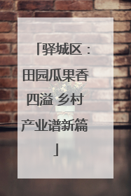 驿城区：田园瓜果香四溢 乡村产业谱新篇