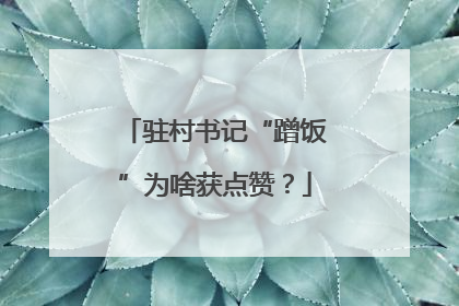 驻村书记“蹭饭”为啥获点赞？