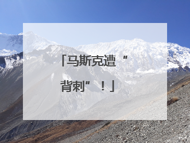 马斯克遭“背刺”！