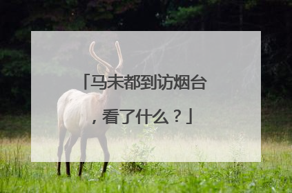 马未都到访烟台，看了什么？
