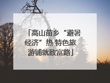 高山苗乡“避暑经济”热 特色旅游铺就致富路