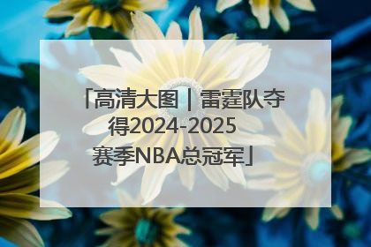 高清大图｜雷霆队夺得2024-2025赛季NBA总冠军