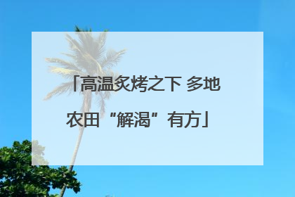 高温炙烤之下 多地农田“解渴”有方
