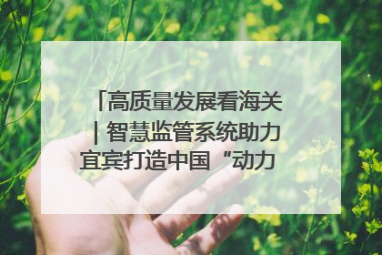 高质量发展看海关｜智慧监管系统助力宜宾打造中国“动力电池之都”