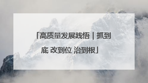 高质量发展践悟｜抓到底 改到位 治到根