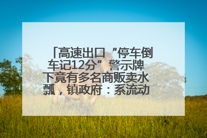 高速出口“停车倒车记12分”警示牌下竟有多名商贩卖水瓢，镇政府：系流动摊位，已多次劝离