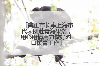 龚正市长率上海市代表团赴青海果洛，用心用情用力做好对口援青工作