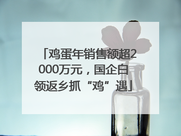 鸡蛋年销售额超2000万元，国企白领返乡抓“鸡”遇