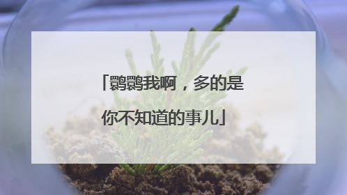 鹮鹮我啊，多的是你不知道的事儿