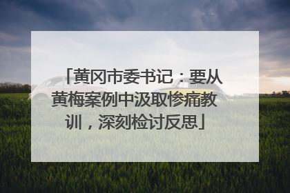 黄冈市委书记：要从黄梅案例中汲取惨痛教训，深刻检讨反思