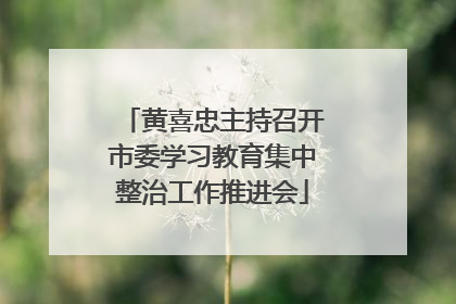 黄喜忠主持召开市委学习教育集中整治工作推进会