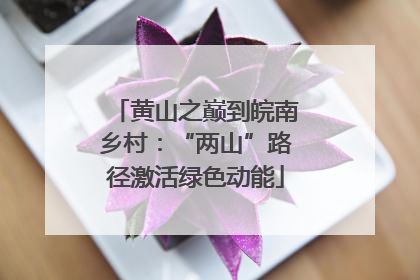 黄山之巅到皖南乡村：“两山”路径激活绿色动能