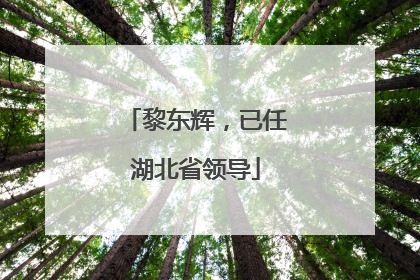 黎东辉，已任湖北省领导