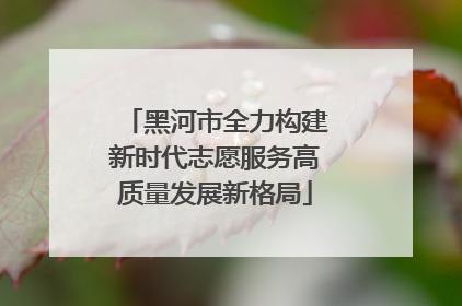黑河市全力构建新时代志愿服务高质量发展新格局
