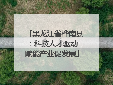 黑龙江省桦南县：科技人才驱动 赋能产业促发展