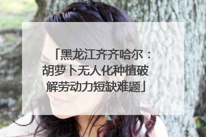 黑龙江齐齐哈尔：胡萝卜无人化种植破解劳动力短缺难题