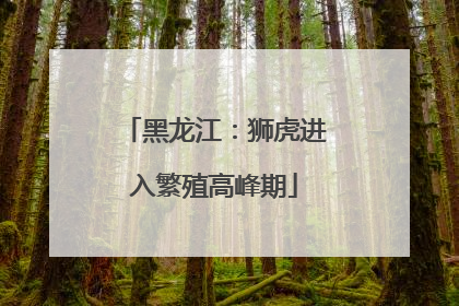 黑龙江：狮虎进入繁殖高峰期