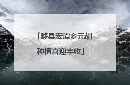 黟县宏潭乡元胡种植喜迎丰收