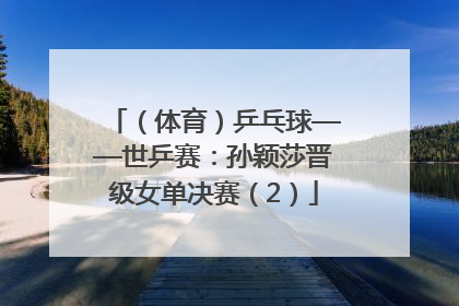 （体育）乒乓球——世乒赛：孙颖莎晋级女单决赛（2）